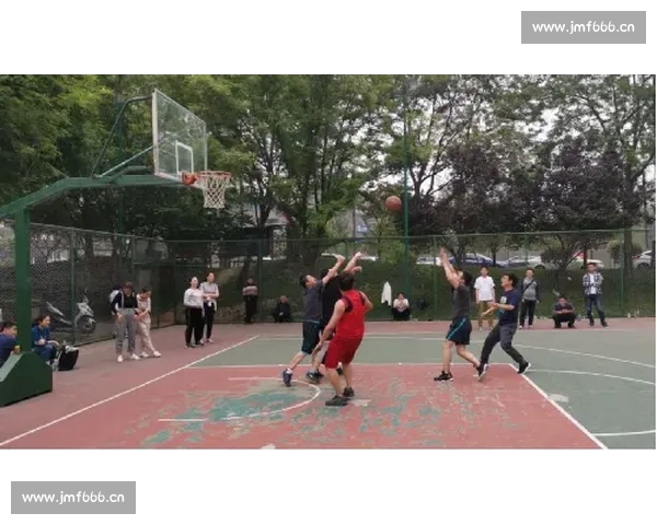 聚焦篮球赛事直播动态解析赛程数据与精彩看点速递全面前瞻实时更新